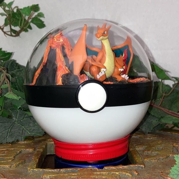 CHARIZARD YPokeball Terrarium